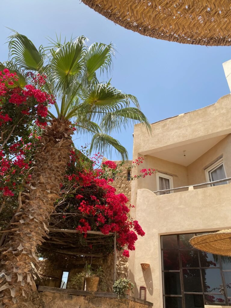 Retraite-essaouira-maroc 13.22.48 (1)